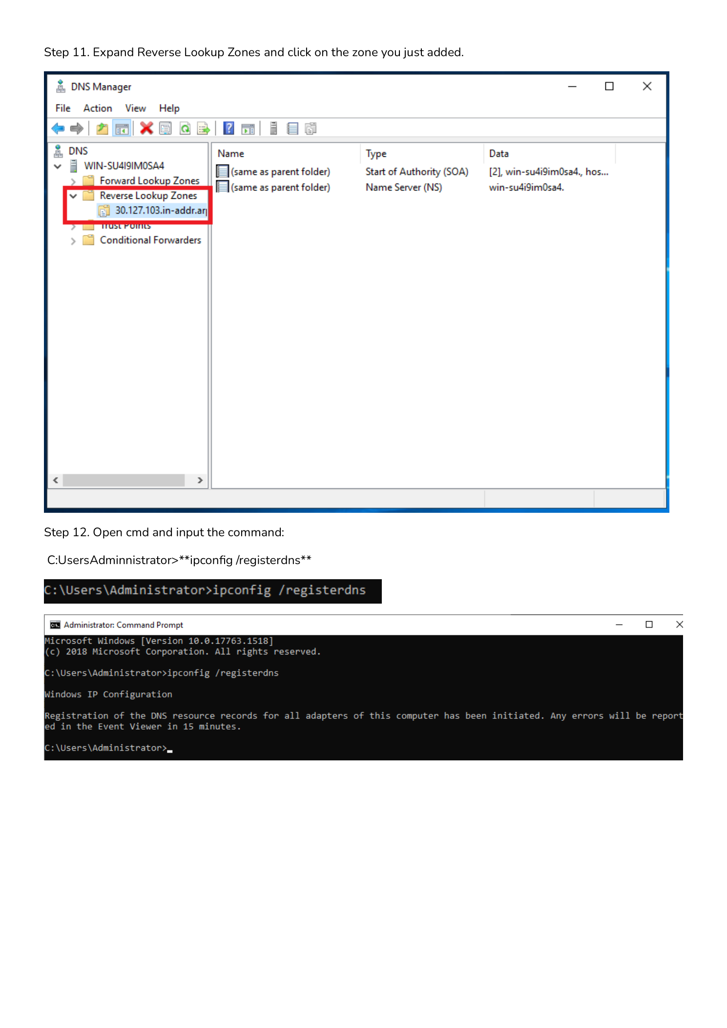 Steps 11 and 12: DNS Manager showing the new reverse lookup zone, and Command Prompt running ipconfig /registerdns