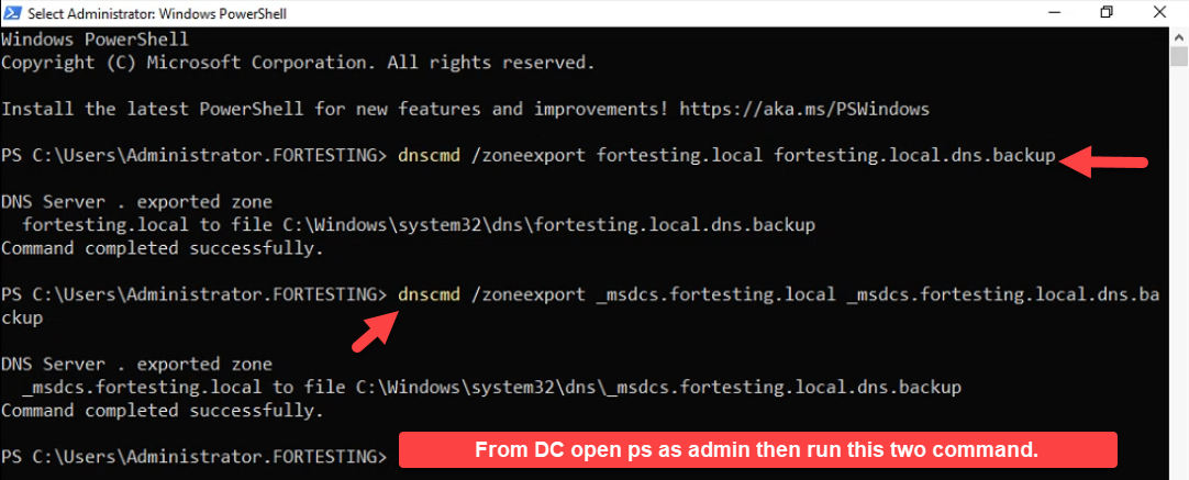 Elevated PowerShell session running dnscmd /zoneexport for fortesting.local and _msdcs.fortesting.local