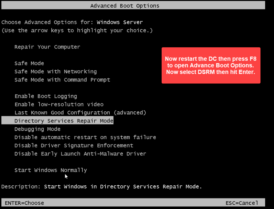Windows Server Advanced Boot Options menu with Directory Services Repair Mode highlighted