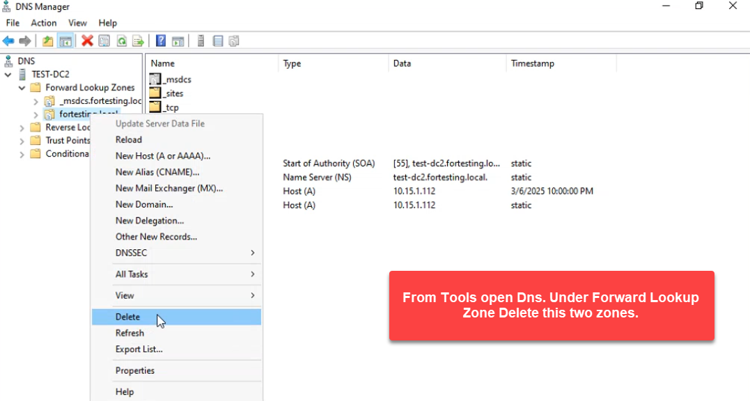 DNS Manager right-click menu on fortesting.local zone with Delete option highlighted