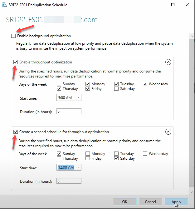 Deduplication Schedule dialog with two Throughput Optimization windows enabled.