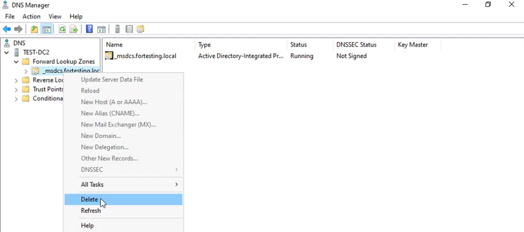 DNS Manager right-click menu on _msdcs.fortesting.local zone with Delete option visible