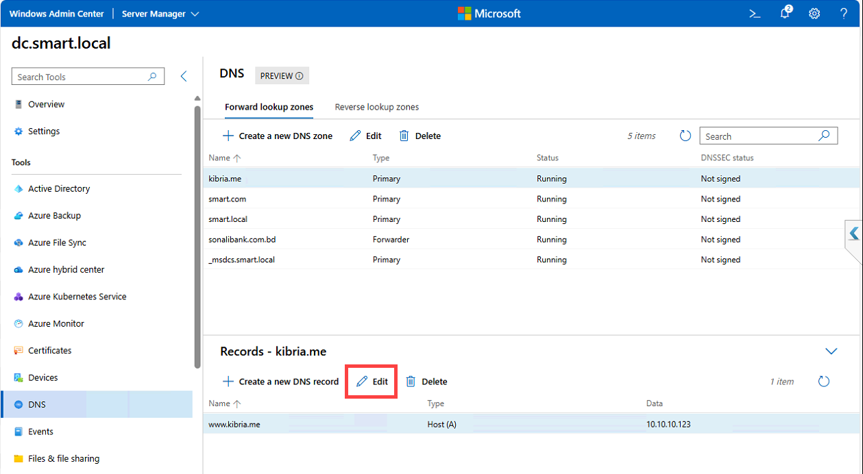 Edit DNS record dialog showing IP, TTL, and Name fields.