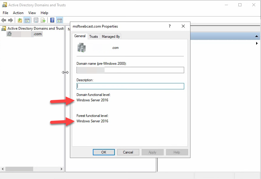 Domain Properties General tab showing Domain functional level Windows Server 2016 and Forest functional level Windows Server 2016