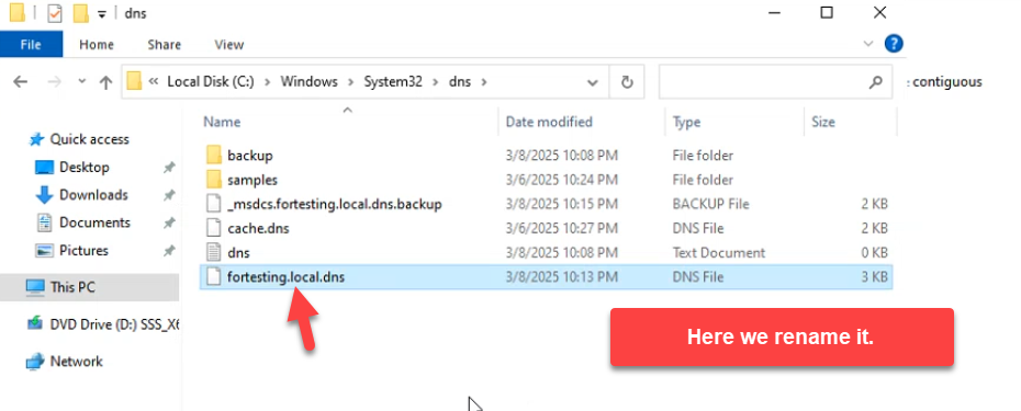 File Explorer in C:\\Windows\\System32\\dns with fortesting.local.dns highlighted after rename