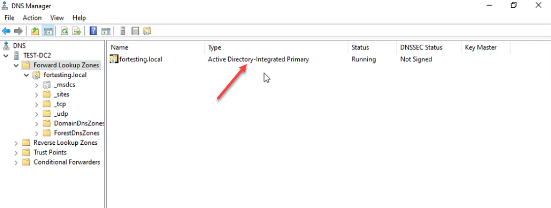 DNS Manager showing fortesting.local with type Active Directory-Integrated Primary, status Running