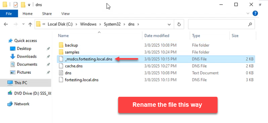 File Explorer in dns folder with _msdcs.fortesting.local.dns highlighted after rename