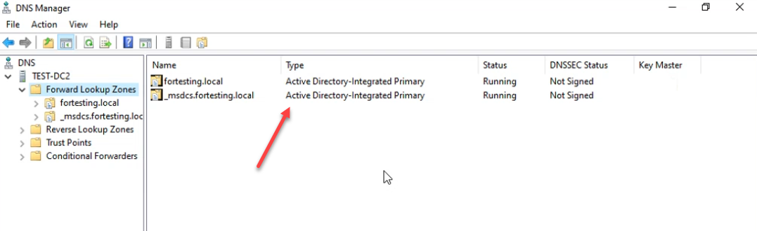 DNS Manager showing fortesting.local and _msdcs.fortesting.local both as Active Directory-Integrated Primary running
