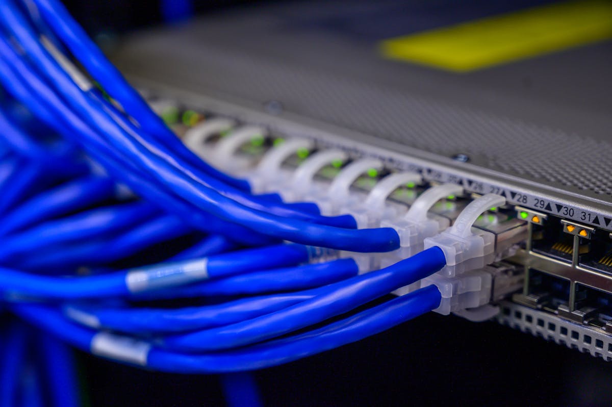 Close-up of a network switch with blue ethernet patch cables and SFP cages