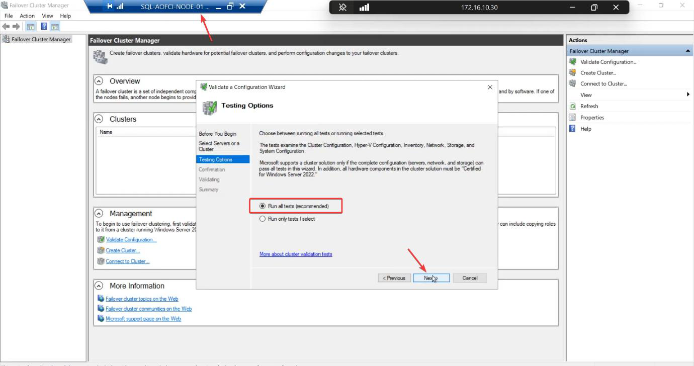 Testing Options step with Run all tests (recommended) selected to exercise inventory, network, storage, and system configuration checks