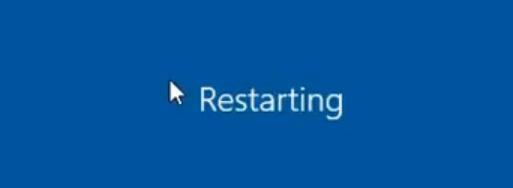 Server restart screen showing Windows is rebooting into Directory Services Restore Mode