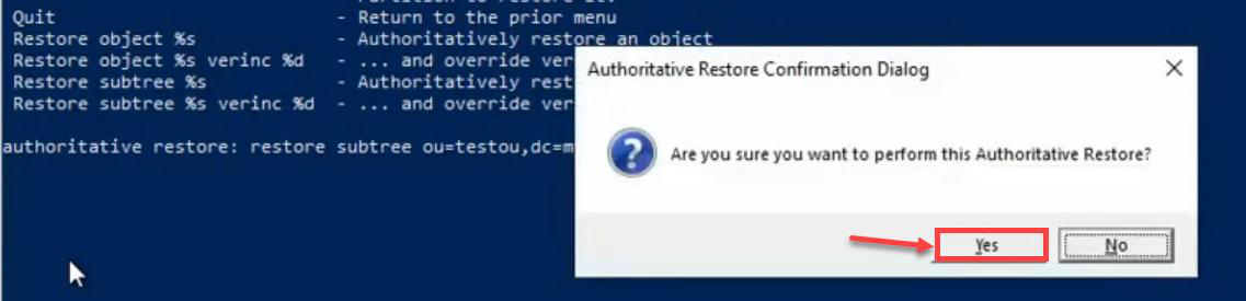 Authoritative restore confirmation prompt asking are you sure you want to perform this authoritative restore with Yes