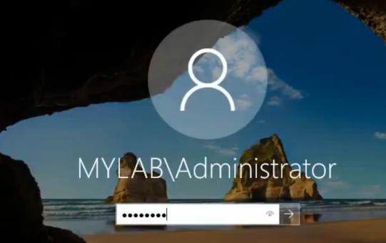 Windows login screen after normal boot with domain administrator account credentials being entered